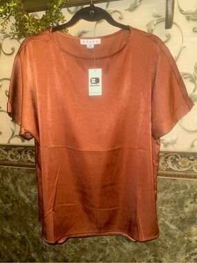 Nwt! The buckle brand Women’s Satin Short Sleeve Top in Rust.